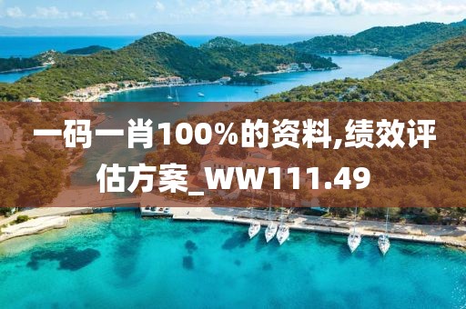 一碼一肖100%的資料,績效評估方案_WW111.49