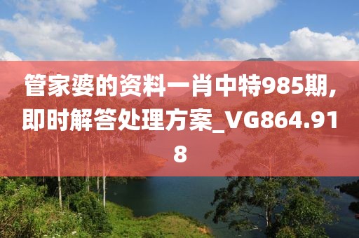 管家婆的資料一肖中特985期,即時解答處理方案_VG864.918