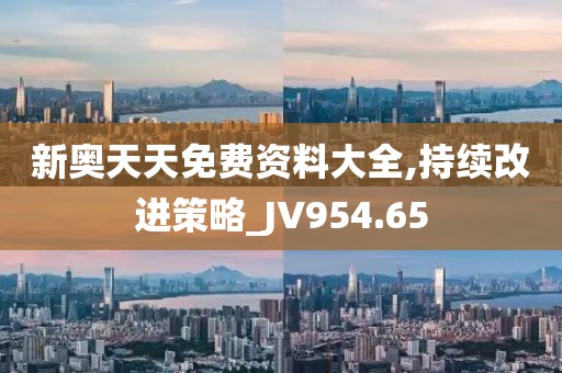 新奧天天免費資料大全,持續(xù)改進策略_JV954.65