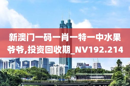 新澳門(mén)一碼一肖一特一中水果爺爺,投資回收期_NV192.214