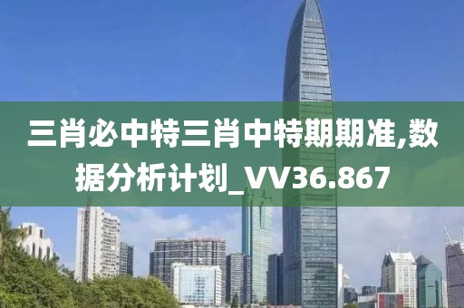 三肖必中特三肖中特期期準,數(shù)據(jù)分析計劃_VV36.867