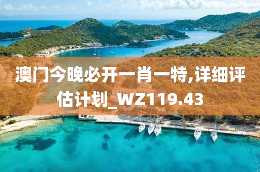 澳門今晚必開一肖一特,詳細(xì)評(píng)估計(jì)劃_WZ119.43