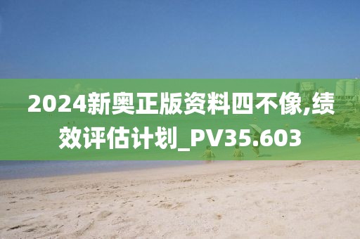 2024新奧正版資料四不像,績效評估計劃_PV35.603