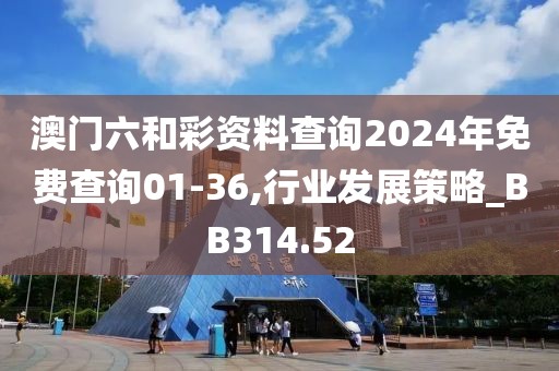 澳門六和彩資料查詢2024年免費(fèi)查詢01-36,行業(yè)發(fā)展策略_BB314.52