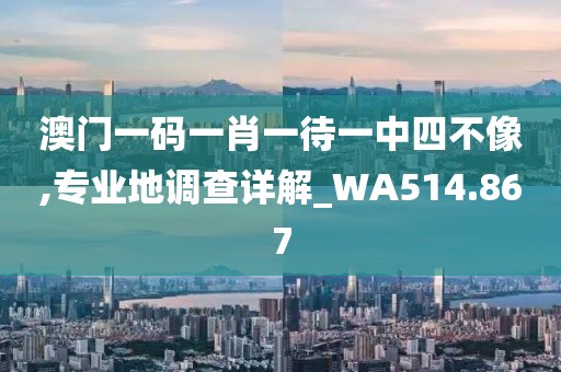 澳門(mén)一碼一肖一待一中四不像,專業(yè)地調(diào)查詳解_WA514.867