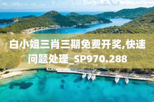 白小姐三肖三期免費(fèi)開獎(jiǎng),快速問題處理_SP970.288