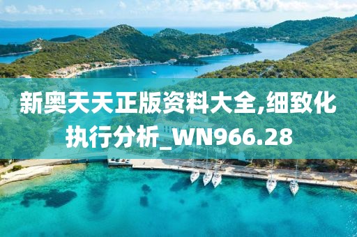 新奧天天正版資料大全,細(xì)致化執(zhí)行分析_WN966.28