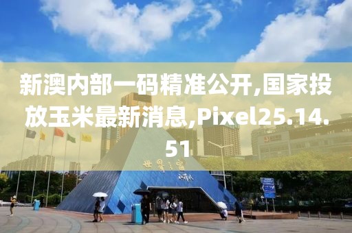 新澳內部一碼精準公開,國家投放玉米最新消息,Pixel25.14.51