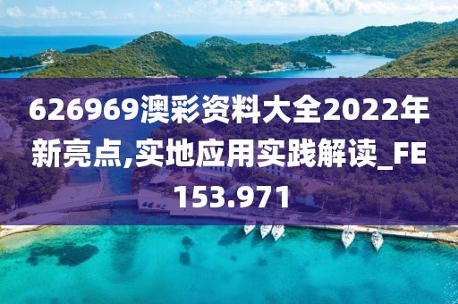 626969澳彩資料大全2022年新亮點,實地應用實踐解讀_FE153.971