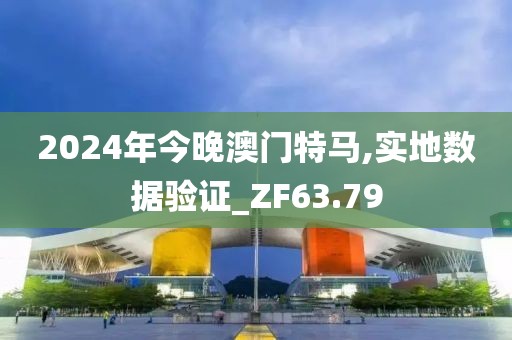 2024年今晚澳門(mén)特馬,實(shí)地?cái)?shù)據(jù)驗(yàn)證_ZF63.79