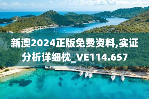 新澳2024正版免費(fèi)資料,實(shí)證分析詳細(xì)枕_VE114.657