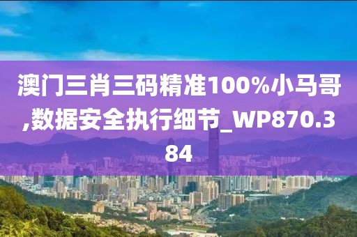 澳門(mén)三肖三碼精準(zhǔn)100%小馬哥,數(shù)據(jù)安全執(zhí)行細(xì)節(jié)_WP870.384