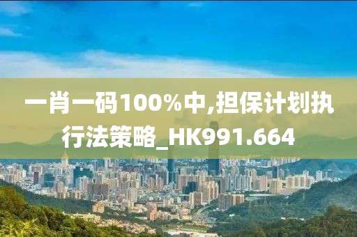 一肖一碼100%中,擔(dān)保計(jì)劃執(zhí)行法策略_HK991.664