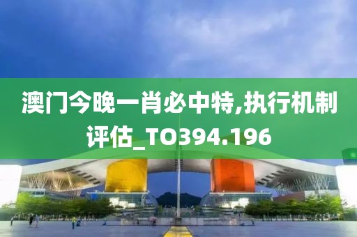 澳門今晚一肖必中特,執(zhí)行機制評估_TO394.196