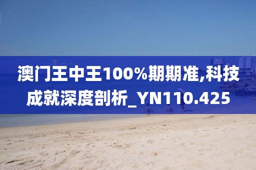 澳門王中王100%期期準(zhǔn),科技成就深度剖析_YN110.425