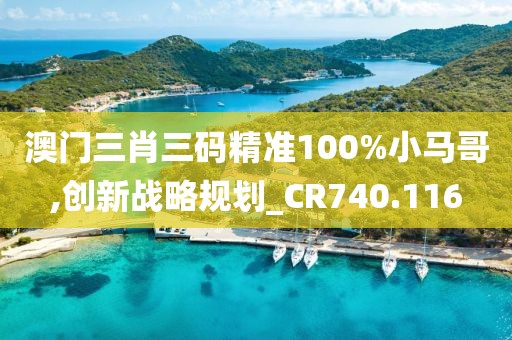 澳門三肖三碼精準(zhǔn)100%小馬哥,創(chuàng)新戰(zhàn)略規(guī)劃_CR740.116