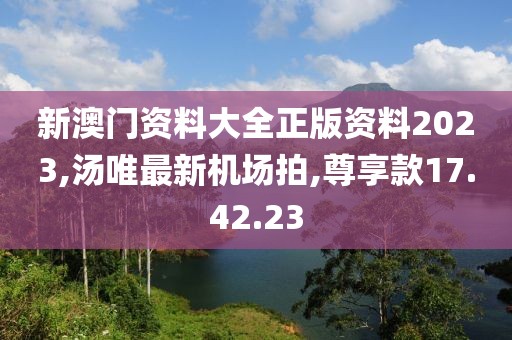 新澳門資料大全正版資料2023,湯唯最新機場拍,尊享款17.42.23