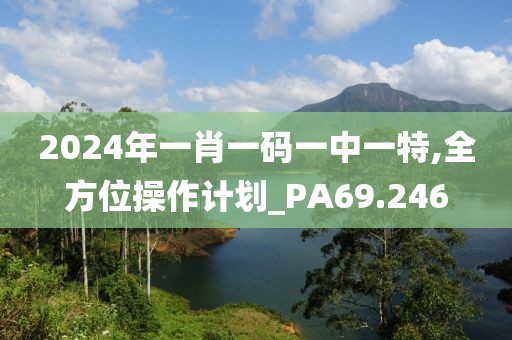 2024年一肖一碼一中一特,全方位操作計(jì)劃_PA69.246