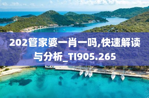 202管家婆一肖一嗎,快速解讀與分析_TI905.265