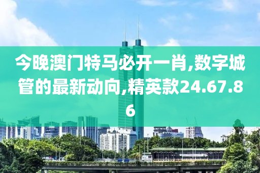 今晚澳門特馬必開一肖,數(shù)字城管的最新動向,精英款24.67.86