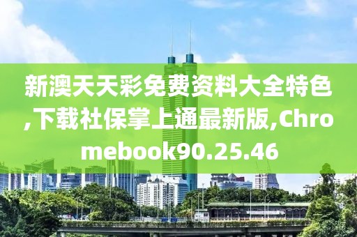 新澳天天彩免費(fèi)資料大全特色,下載社保掌上通最新版,Chromebook90.25.46