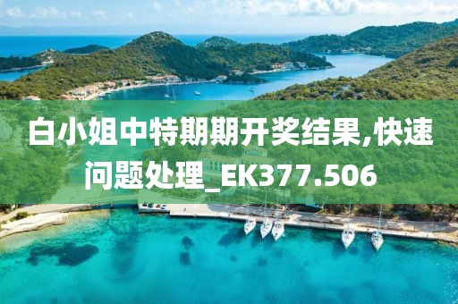 白小姐中特期期開獎結(jié)果,快速問題處理_EK377.506