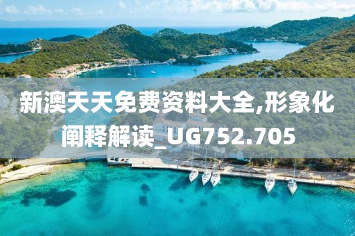 新澳天天免費資料大全,形象化闡釋解讀_UG752.705