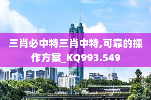 三肖必中特三肖中特,可靠的操作方案_KQ993.549