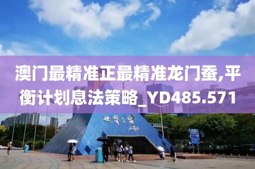 澳門最精準正最精準龍門蠶,平衡計劃息法策略_YD485.571