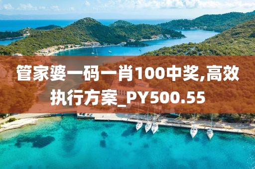 管家婆一碼一肖100中獎(jiǎng),高效執(zhí)行方案_PY500.55