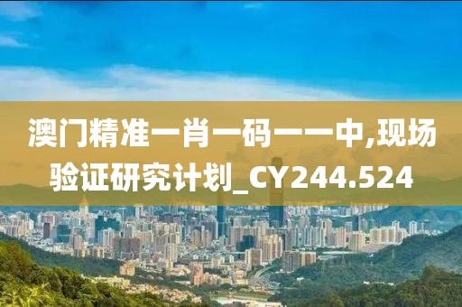 澳門精準(zhǔn)一肖一碼一一中,現(xiàn)場驗證研究計劃_CY244.524