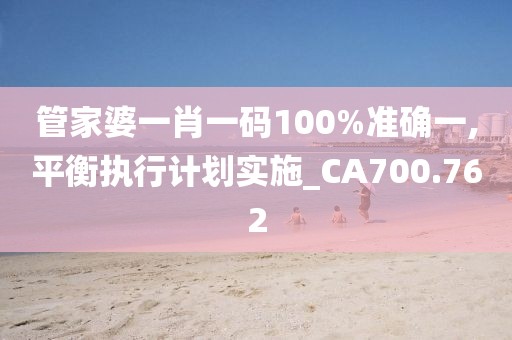 管家婆一肖一碼100%準確一,平衡執(zhí)行計劃實施_CA700.762