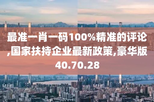 最準(zhǔn)一肖一碼100%精準(zhǔn)的評(píng)論,國(guó)家扶持企業(yè)最新政策,豪華版40.70.28