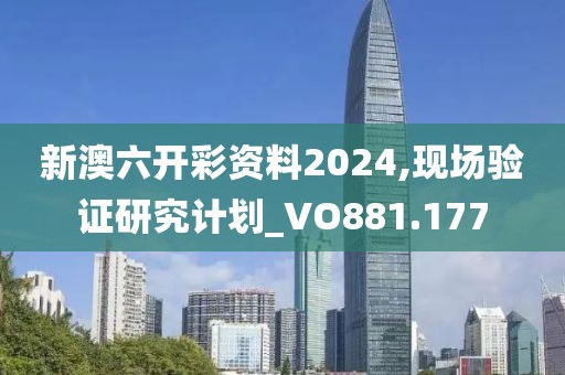 新澳六開彩資料2024,現(xiàn)場驗證研究計劃_VO881.177