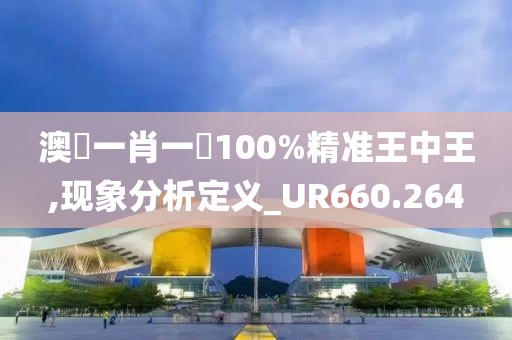 澳門一肖一碼100%精準王中王,現(xiàn)象分析定義_UR660.264