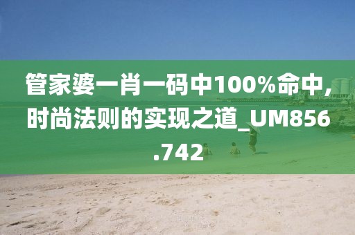 管家婆一肖一碼中100%命中,時(shí)尚法則的實(shí)現(xiàn)之道_UM856.742