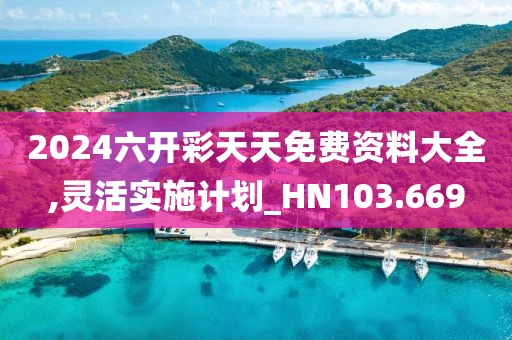 2024六開彩天天免費資料大全,靈活實施計劃_HN103.669