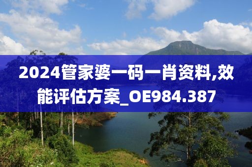 2024管家婆一碼一肖資料,效能評(píng)估方案_OE984.387