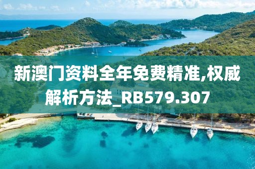 新澳門資料全年免費(fèi)精準(zhǔn),權(quán)威解析方法_RB579.307