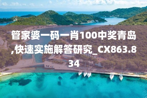 管家婆一碼一肖100中獎青島,快速實(shí)施解答研究_CX863.834