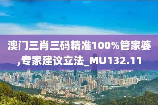 澳門(mén)三肖三碼精準(zhǔn)100%管家婆,專(zhuān)家建議立法_MU132.11