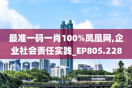 最準一碼一肖100%鳳凰網(wǎng),企業(yè)社會責任實踐_EP805.228