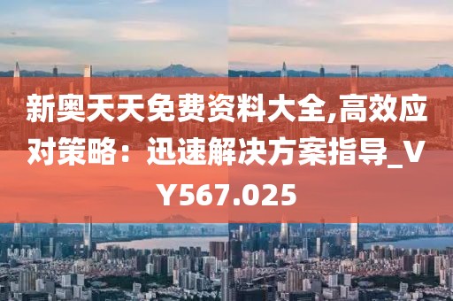 新奧天天免費資料大全,高效應對策略：迅速解決方案指導_VY567.025