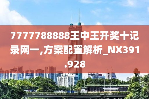 7777788888王中王開獎(jiǎng)十記錄網(wǎng)一,方案配置解析_NX391.928