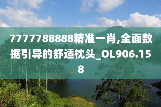 7777788888精準一肖,全面數(shù)據(jù)引導的舒適枕頭_OL906.158