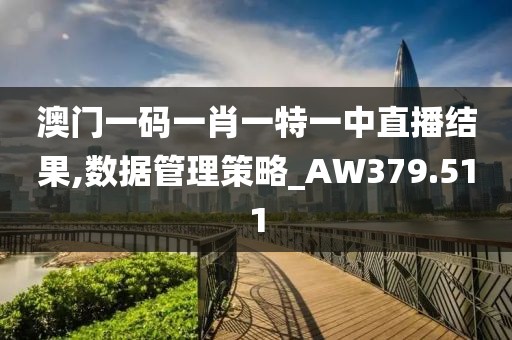 澳門一碼一肖一特一中直播結(jié)果,數(shù)據(jù)管理策略_AW379.511