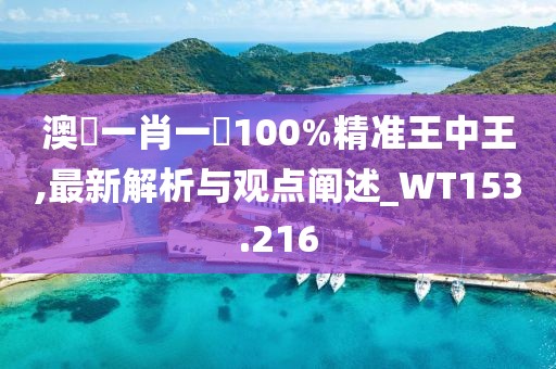 澳門一肖一碼100%精準王中王,最新解析與觀點闡述_WT153.216