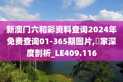 新澳門六和彩資料查詢2024年免費(fèi)查詢01-365期圖片,專家深度剖析_LE409.116