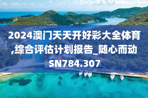 2024澳門天天開好彩大全體育,綜合評估計劃報告_隨心而動SN784.307