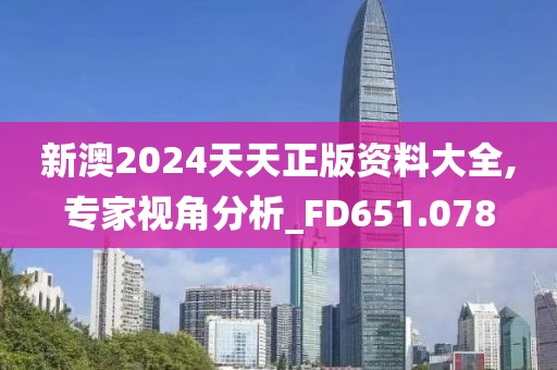 新澳2024天天正版資料大全,專(zhuān)家視角分析_FD651.078